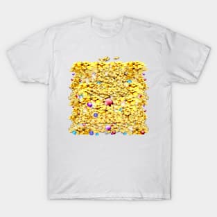 Treasure T-Shirt